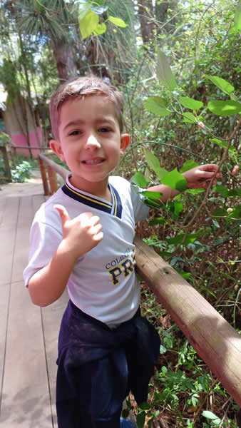 Bicho Mania 2022